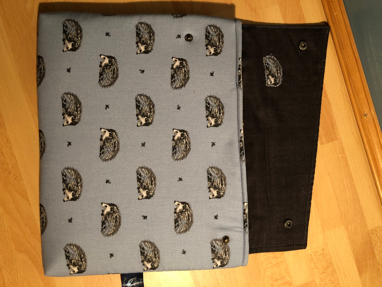 Blue hedgehog ipad case